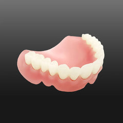 Jamghe Denture Base