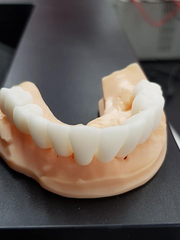 Senertek Temporary C&B